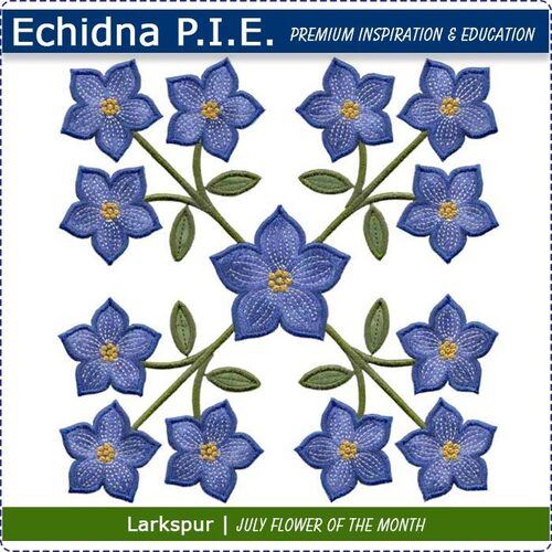 Echidna P.I.E. Larkspur July Birth Month Flower