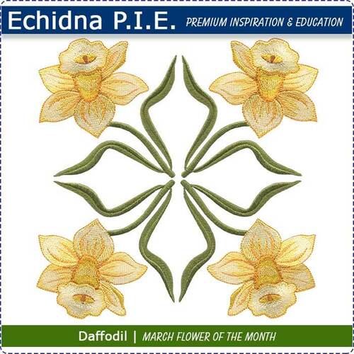 Echidna P.I.E. Daffodil March Birth Month Flower