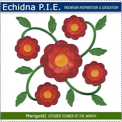 Echidna P.I.E. Marigold October Birth Month Flower