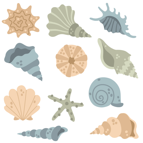 Tidal Treasures SVG Designs by Echidna