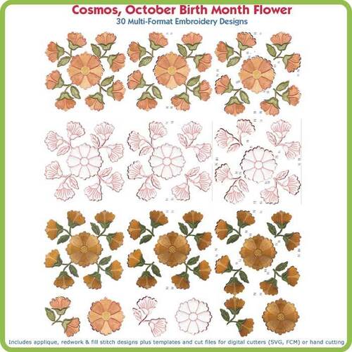 Cosmos October Birth Month Flower USA by Lindee Goodall