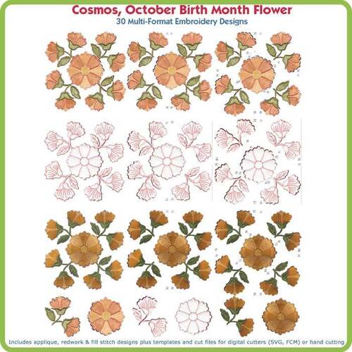 Cosmos October Birth Month Flower USA by Lindee Goodall