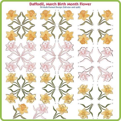 Daffodil March Birth Month Flower by Lindee Goodall
