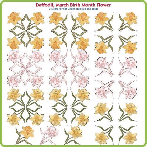 Daffodil March Birth Month Flower by Lindee Goodall