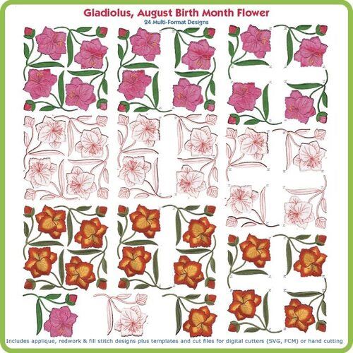 Gladiolus August Birth Month Flower by Lindee Goodall