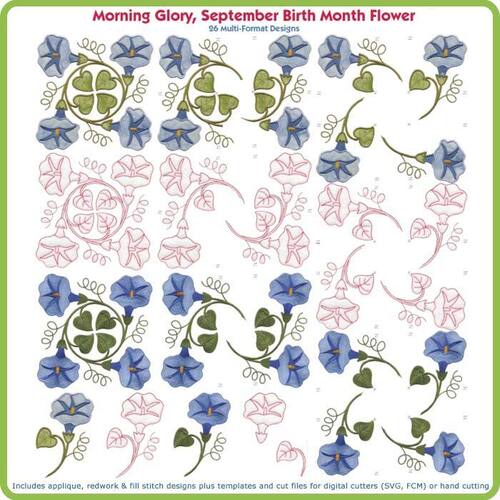 Morning Glory September Birth Month Flower by Lindee Goodall