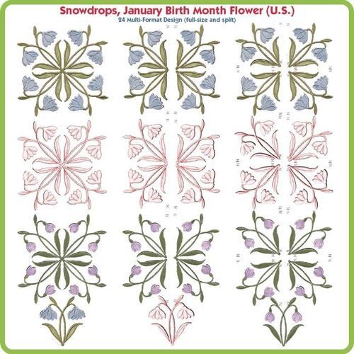 Snowdrop January Birth Month Flower USA by Lindee Goodall