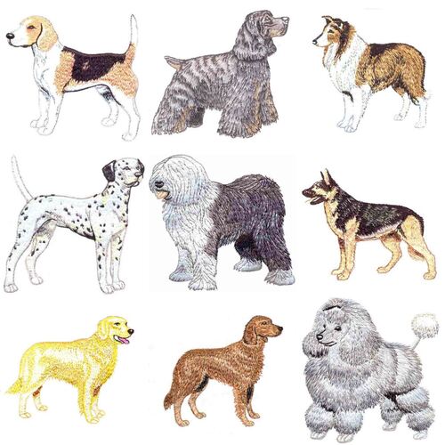 Assorted Large Dogs (12 designs) by Outback Embroidery - Download