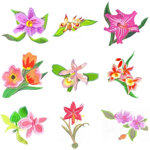 Floral Delight's (30 designs) by Outback Embroidery - Download