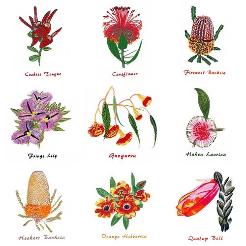 West Australian Wildflowers (12 designs) by Outback Embroidery - Download