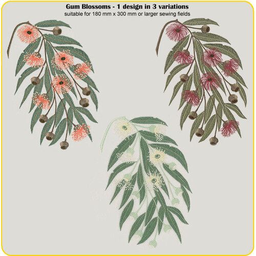 Gum Blossoms Large Format by Dawn Johnson