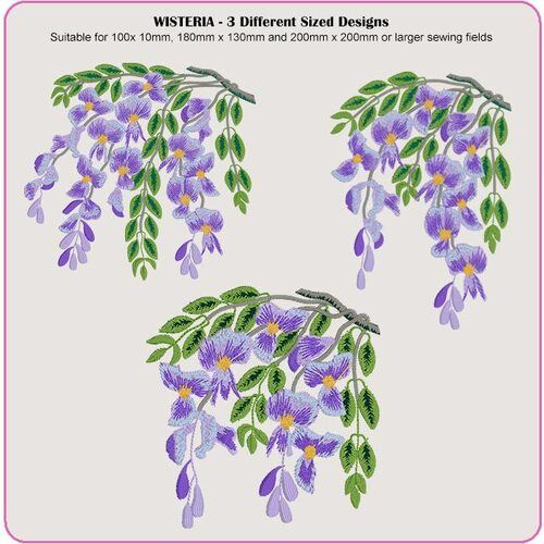 Wisteria by Dawn Johnson