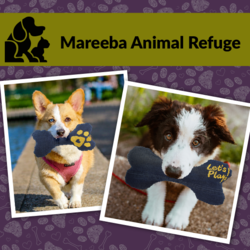 Mareeba Animal Refuge: Dog Bones main image