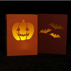 Halloween Paper Lanterns main image