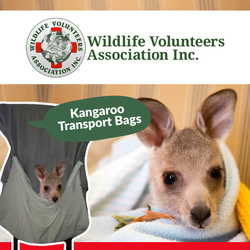 WILVOS: Kangaroo Transport Bags main image