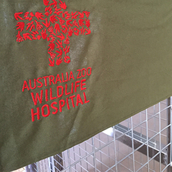 Australia Zoo Wildlife Hospital: Cage Covers main image