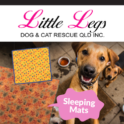 Little Legs: Cat & Dog Sleeping Mat main image